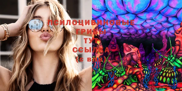 каннабис Богданович