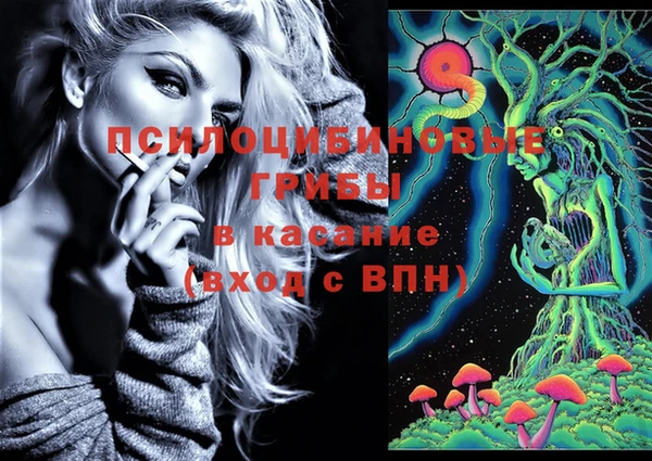 герыч Богородицк