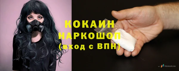 крисы Бугульма