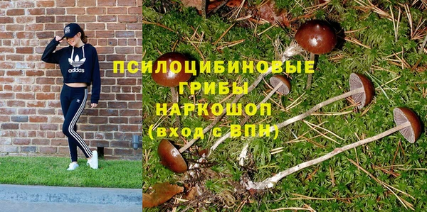 крисы Бугульма