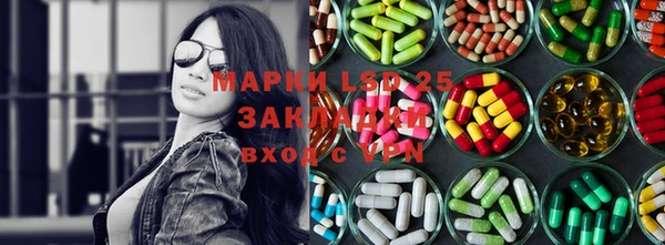 крисы Бугульма